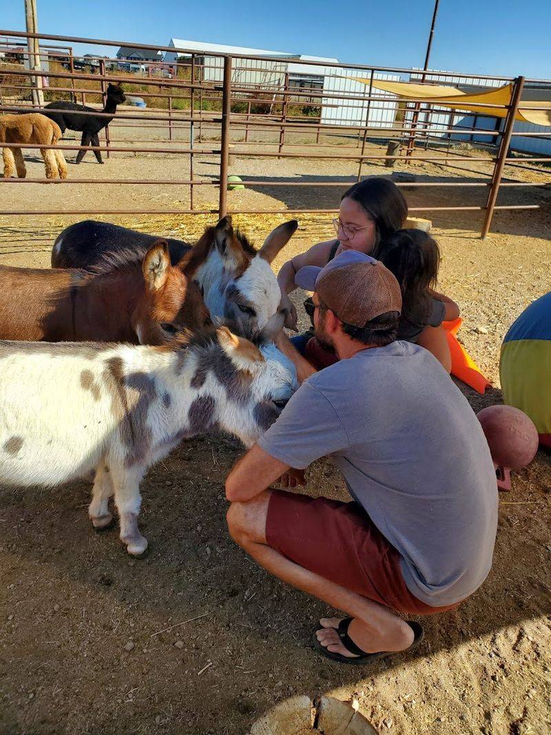 A One-Hour Visit That Feels Just Right