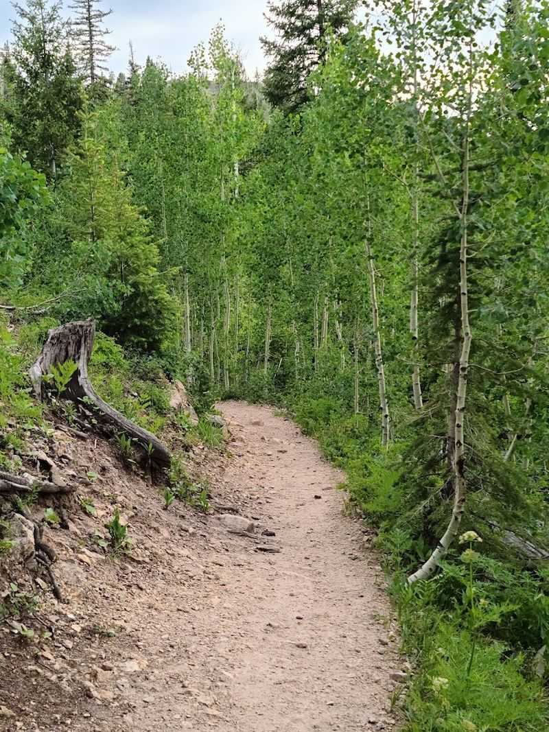 A One-Mile Trail Built For Real People