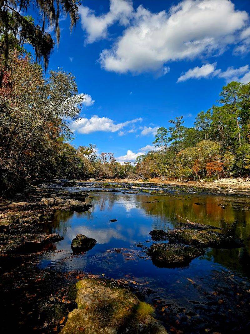 Picnicking, Camping, And Restroom Facilities