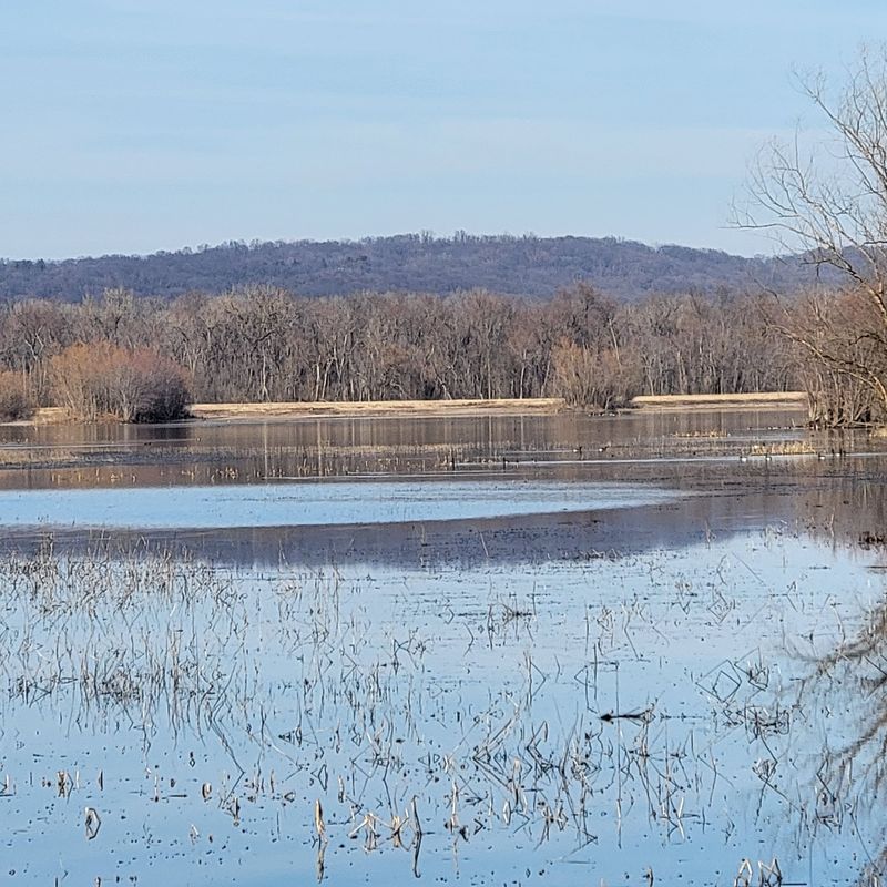 A Paradise For Bird Watchers