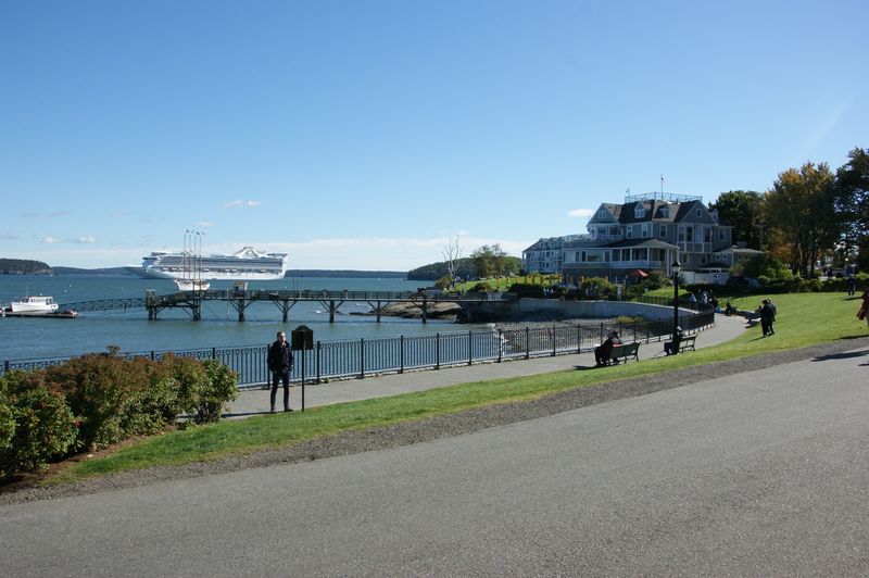 A Paradise For Dog Owners