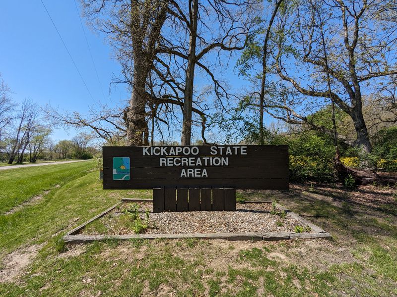 First Impressions At The Main Entrance