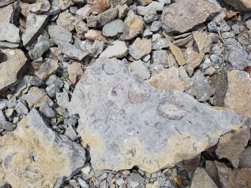 What You Can Actually Find Here