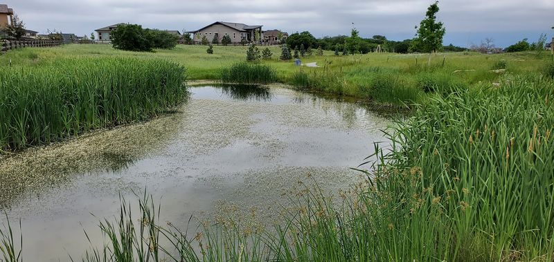 The Natural Setting That Sets It Apart