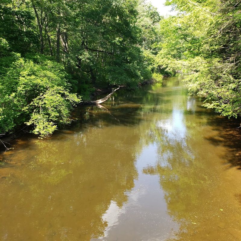 Wildlife Encounters Along The Trail