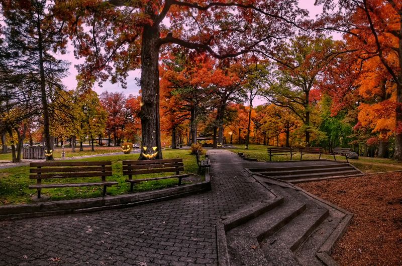 A Park With Deep Roots A Park With Deep Roots