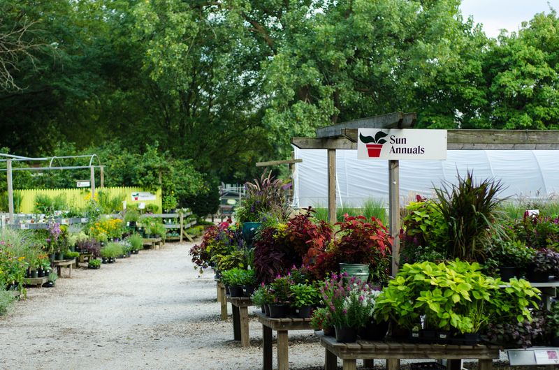 A Park You Can Shop In A Park You Can Shop In