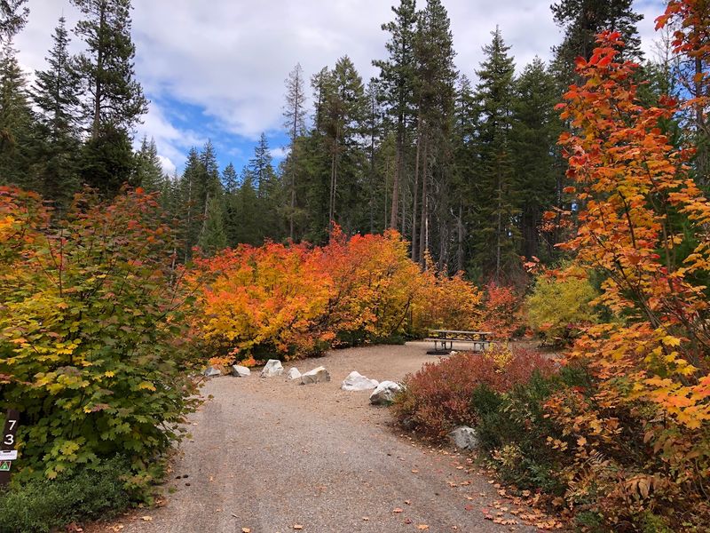 A Park for Every Season