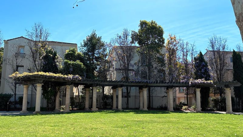 Where Every Visit Ends With A Brick In Your Bag