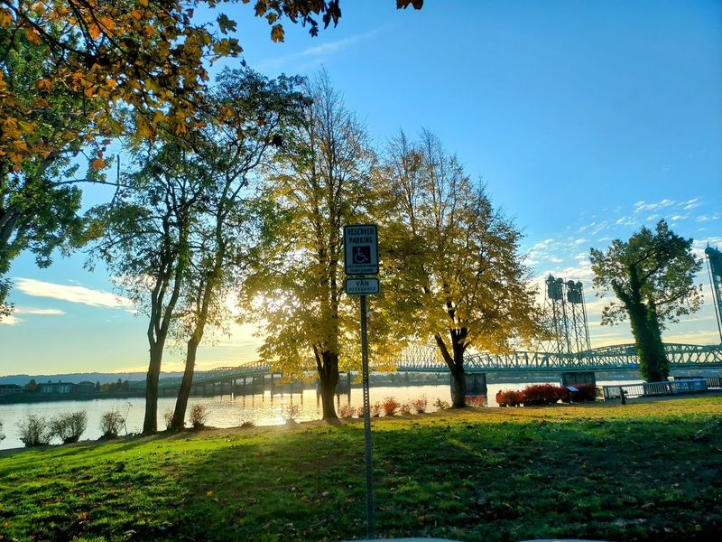 A Path Named for Renewal