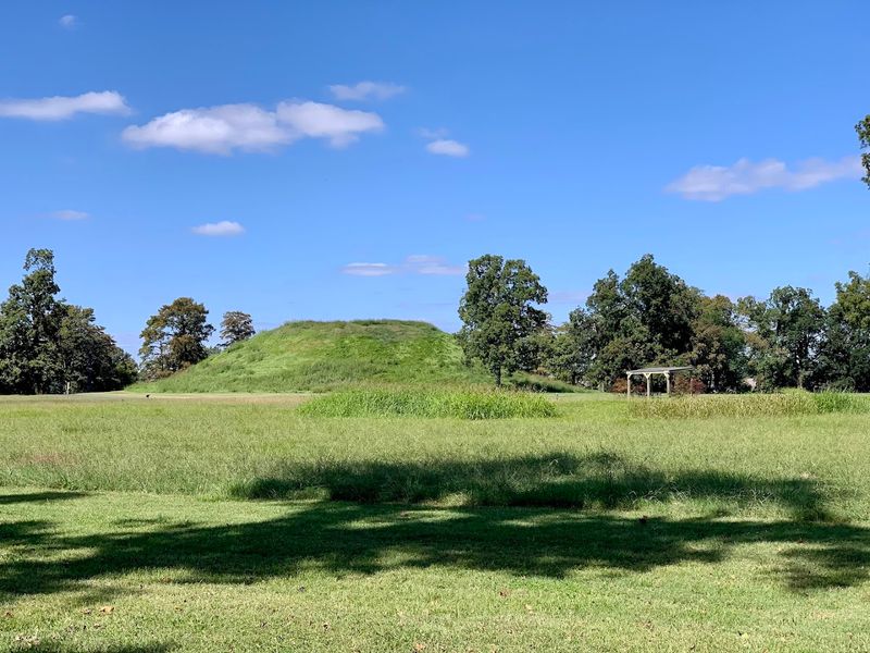 Earthen Ridges Raised By A Vanished Civilization