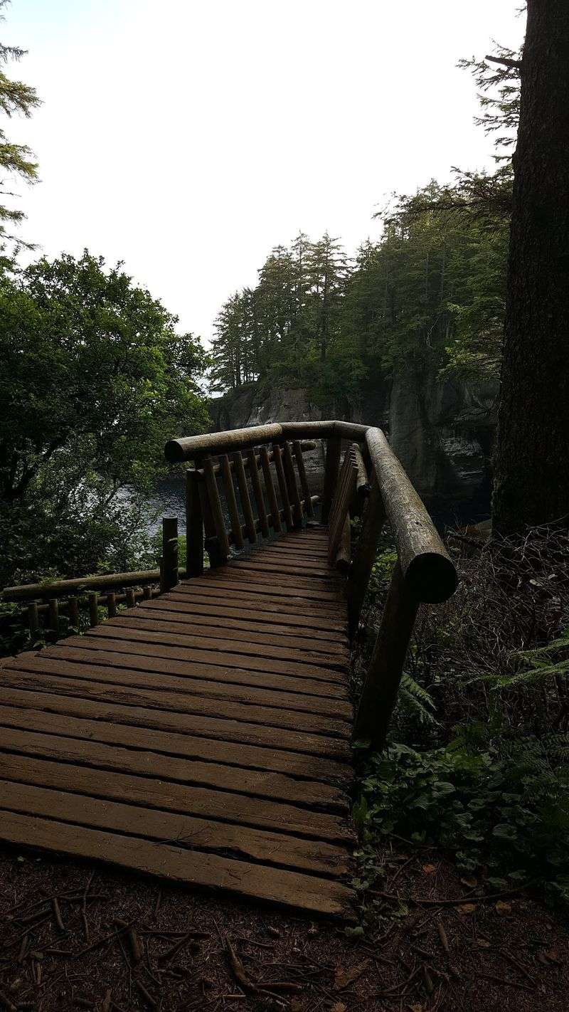 A Path Shaped by the Makah Nation A Path Shaped by the Makah Nation