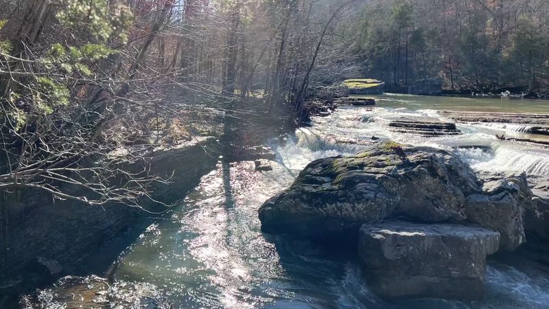 A Peaceful Bend In Falling Water Creek