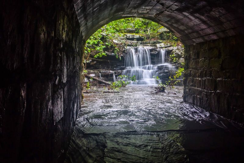A Peaceful Cascade Hidden In The Trees