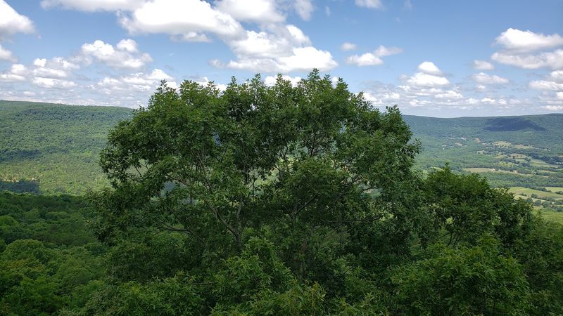 A Peaceful Edge Of The Ozarks