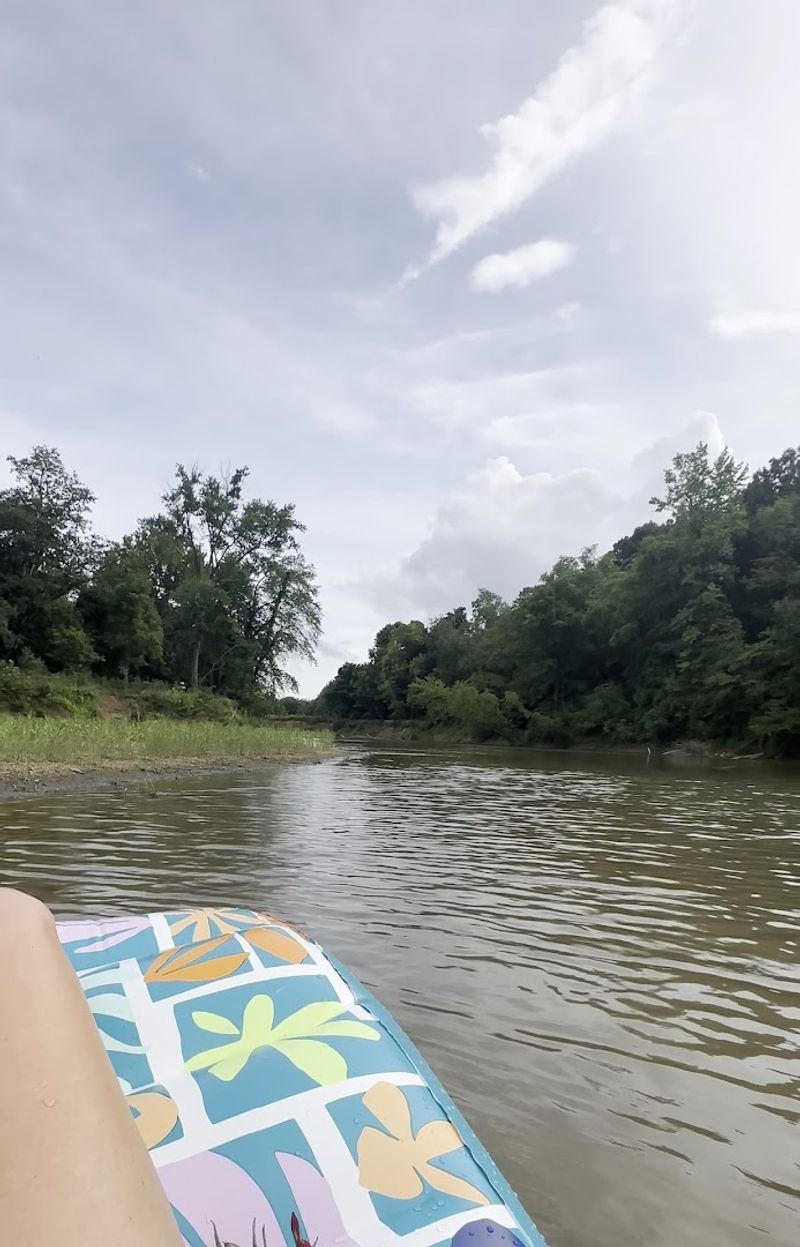 A Peaceful Float Through Green Scenery