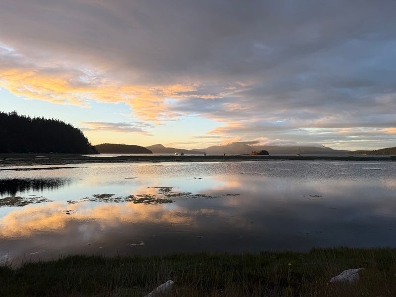 A Peaceful Lagoon Where Wildlife Gathers