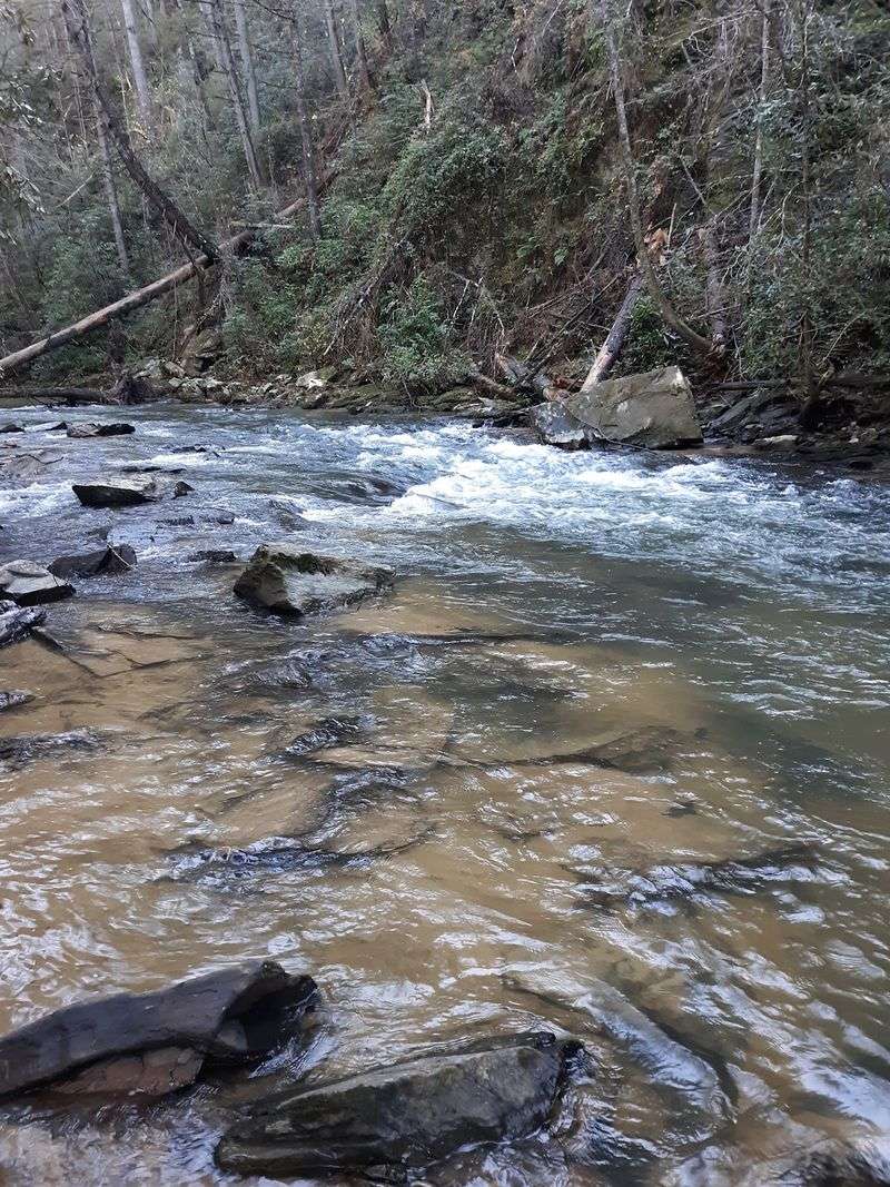A Peaceful Lake on Taylor Creek