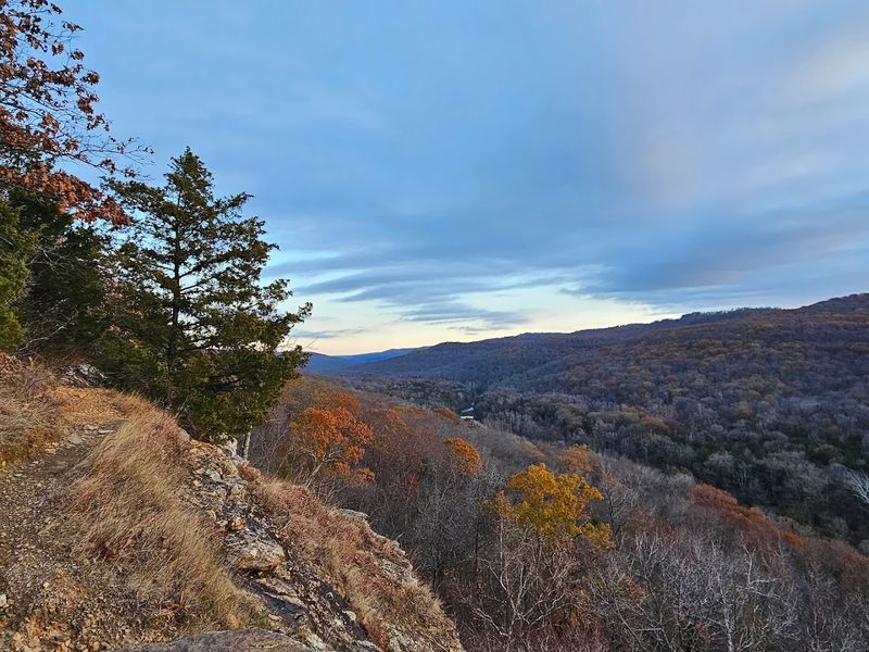 A Peaceful Overlook Above The Trees