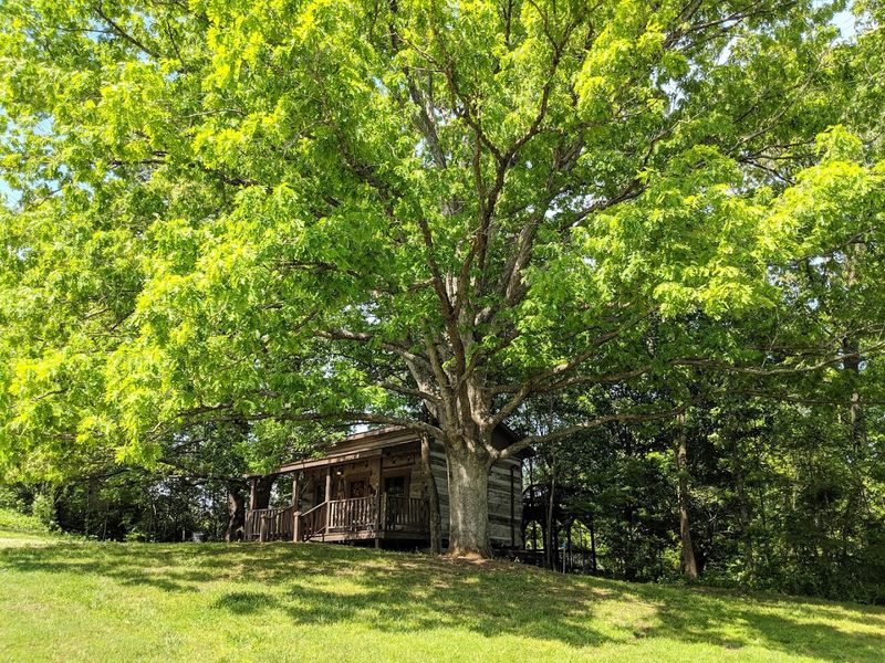 Practical Tips For Planning Your Stay