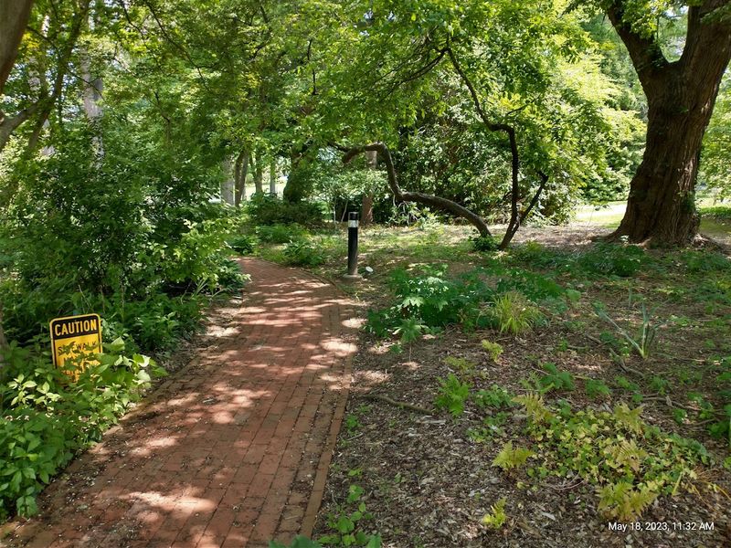 A Peaceful Setting For Quiet Walks