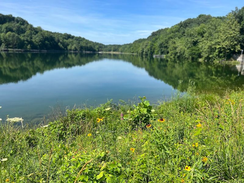 A Peaceful Shoreline Escape