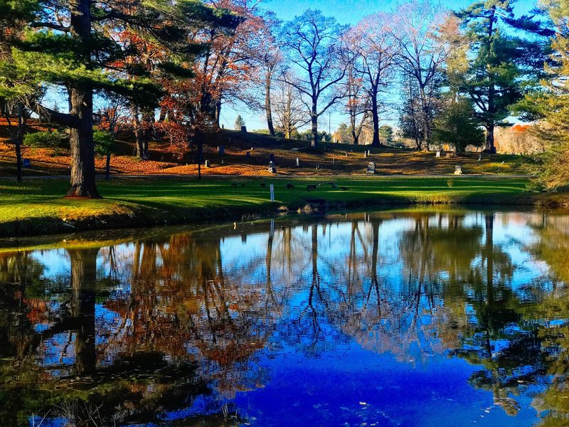 A Peaceful Spot For Walking And Reflecting