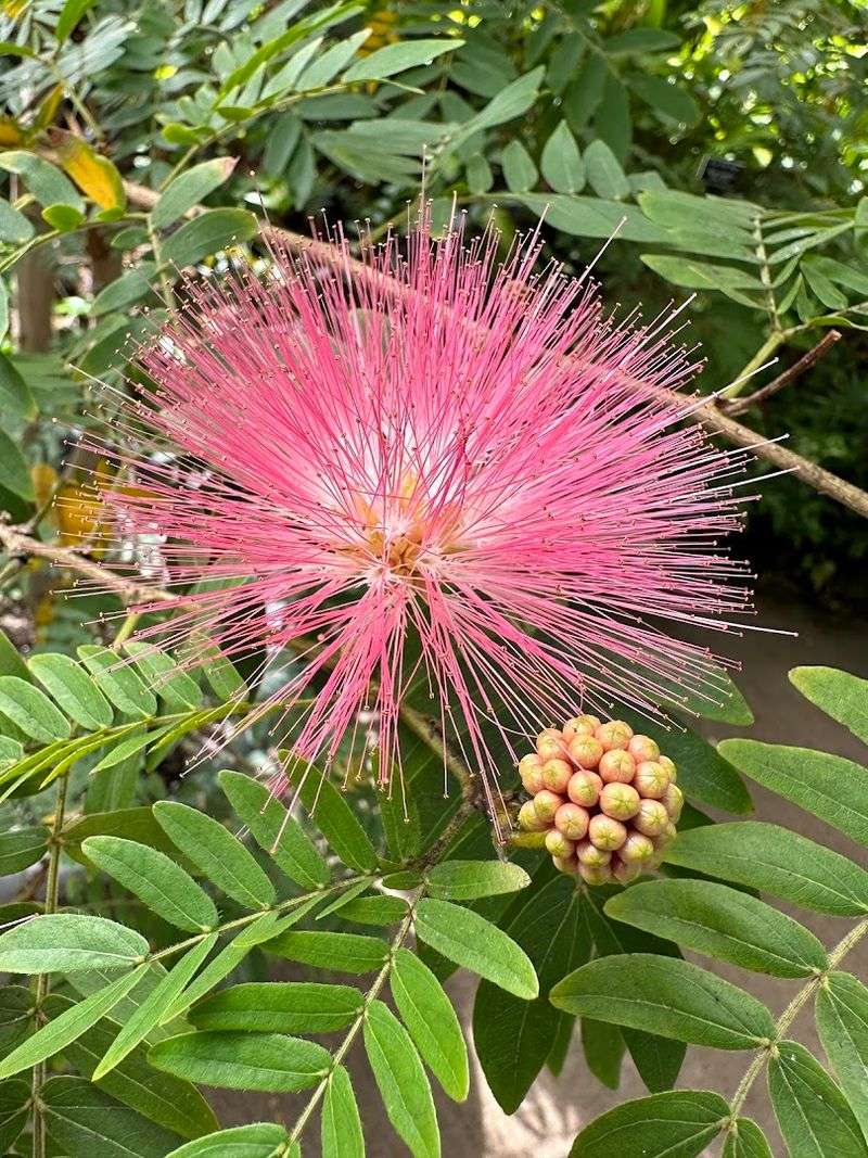 Seasonal Events And Special Programs