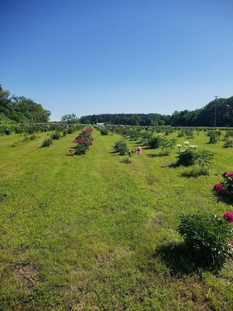 A Simple Spring Tradition