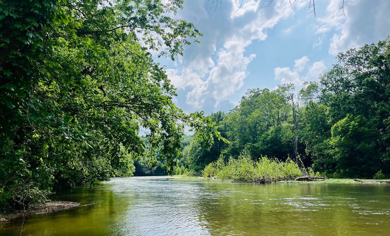 A Peaceful Stretch Of Wild Arkansas