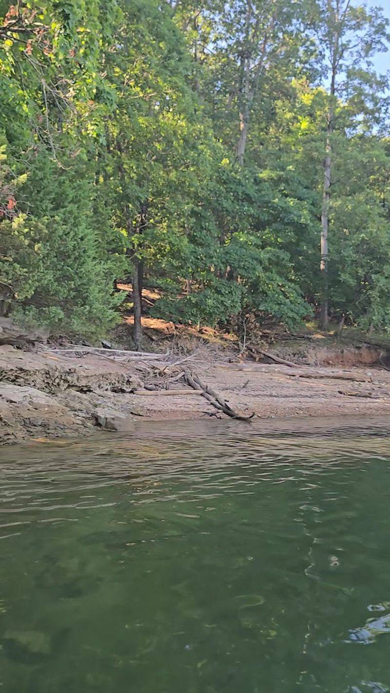 A Peaceful Swim Beach With Ozark Scenery