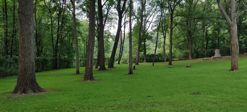 A Peaceful Walk Under A Leafy Canopy