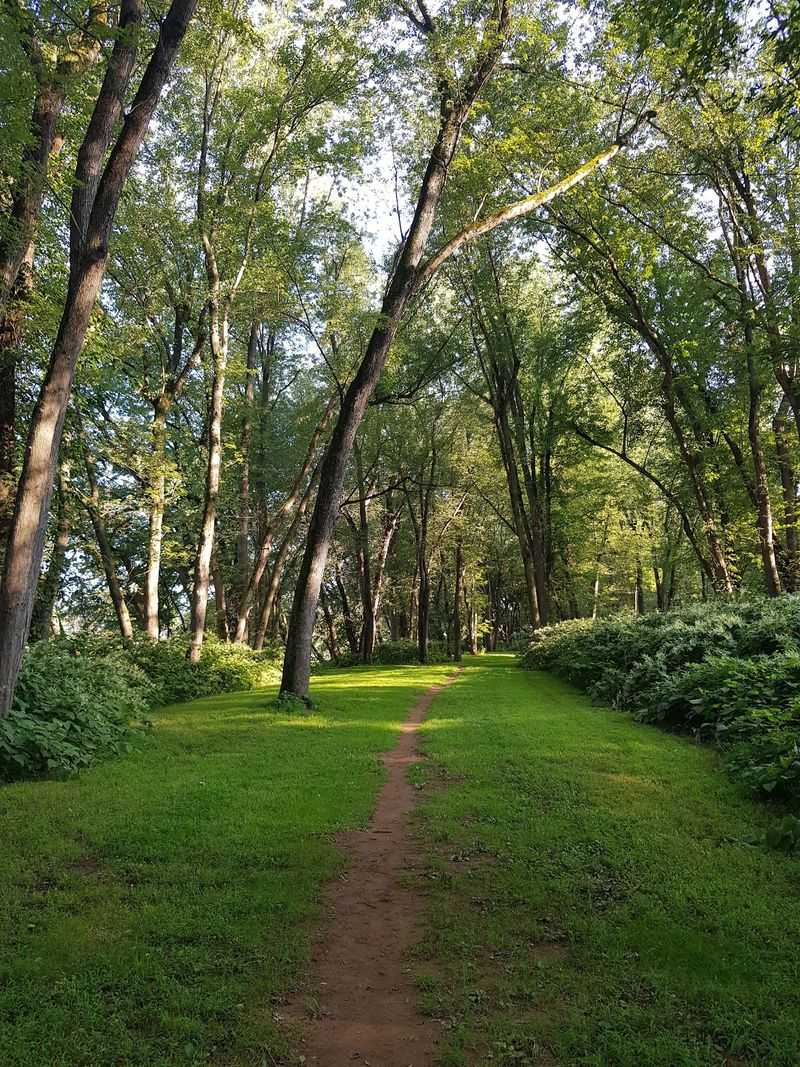 A Peaceful, Well-Kept Spot For Relaxing