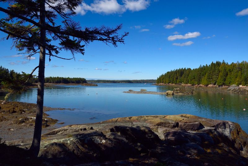 A Peninsula Built For Birds