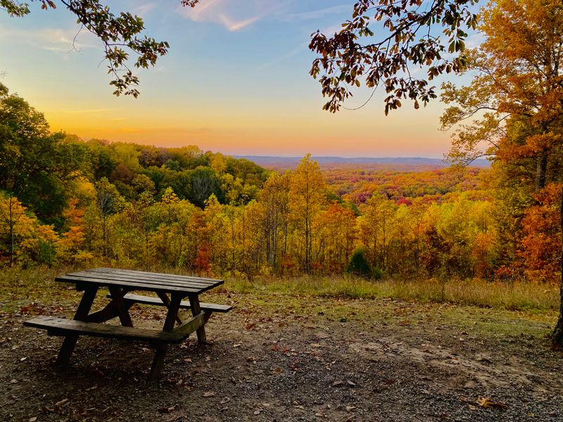 The Winding Road That Rewards Patient Drivers