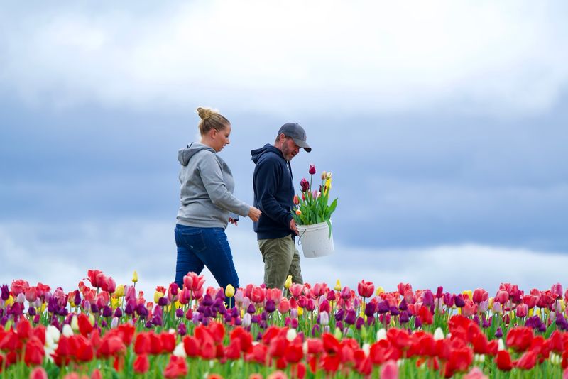 A True Family Farm in the Heart of the Endless Mountains