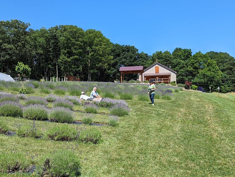 Wendy, Troy, And The Heart Behind The Farm