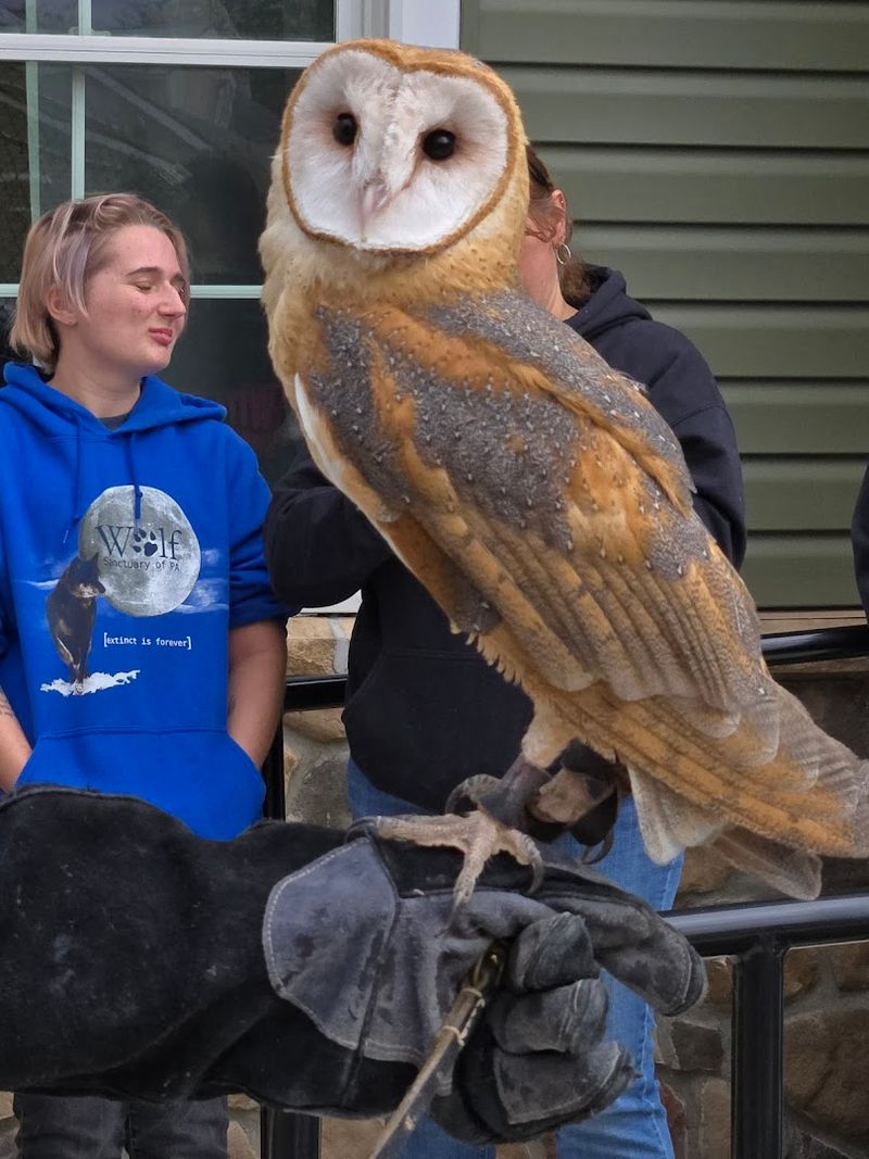 Rehabilitating Over 4,500 Animals Every Year