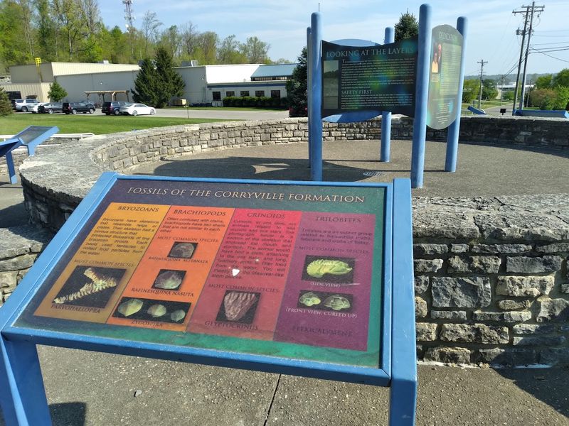 The Science Behind the Fossils