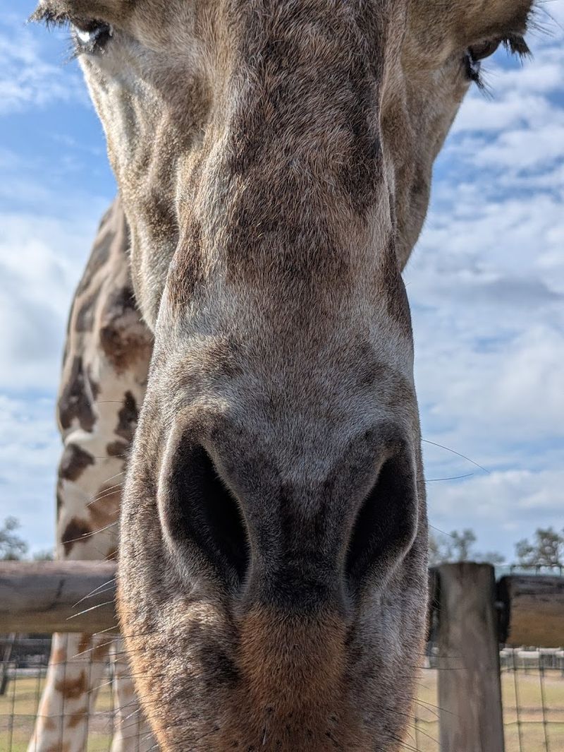 An Experience Worth Every Penny For Families And Adults Alike