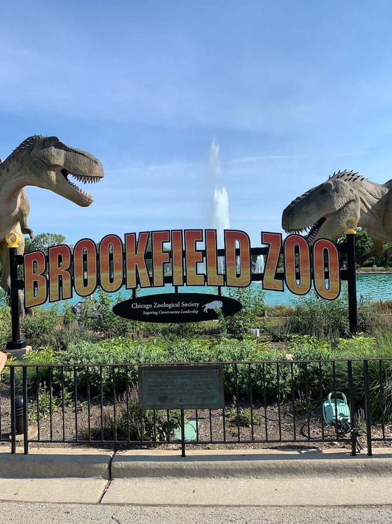 A Night Full Of Energy And Light