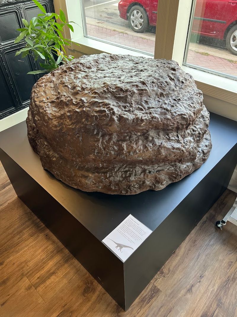 Why Kids And Adults Both Leave Impressed