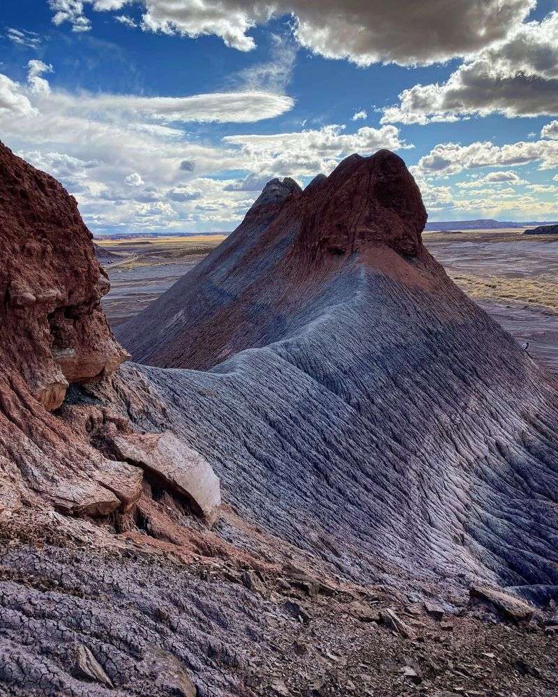 A Petrified Past, Petrified Forest National Park