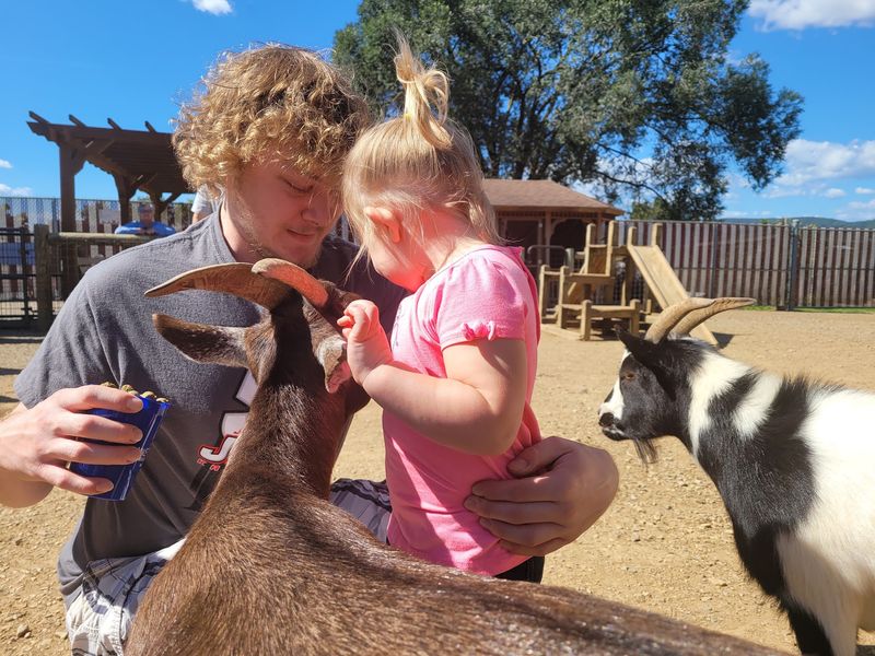A Petting Zoo Full Of Friendly Goats