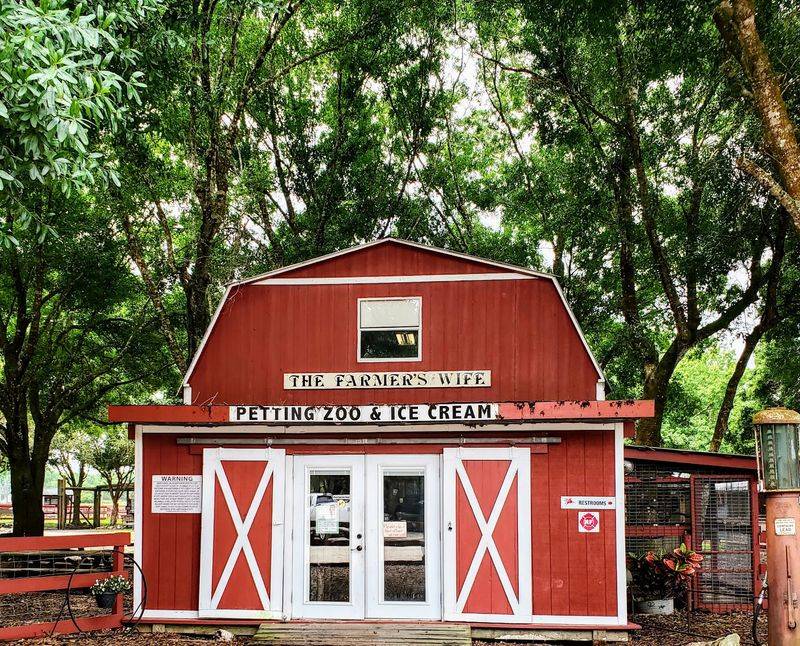 A Petting Zoo Packed With Friendly Animals