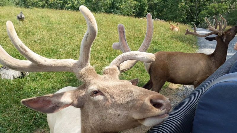 Family-Friendly Pricing That Actually Makes Sense