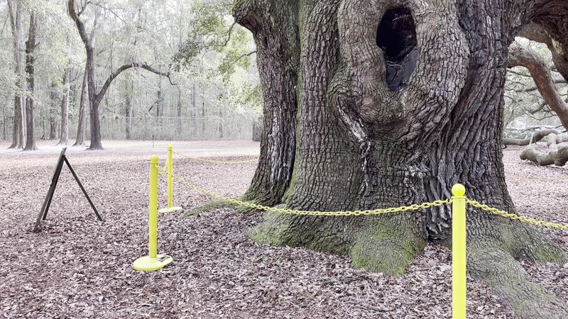 Getting There From Downtown Charleston