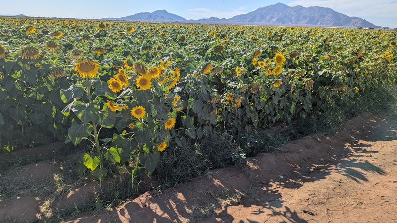 A Photographer's Golden Playground