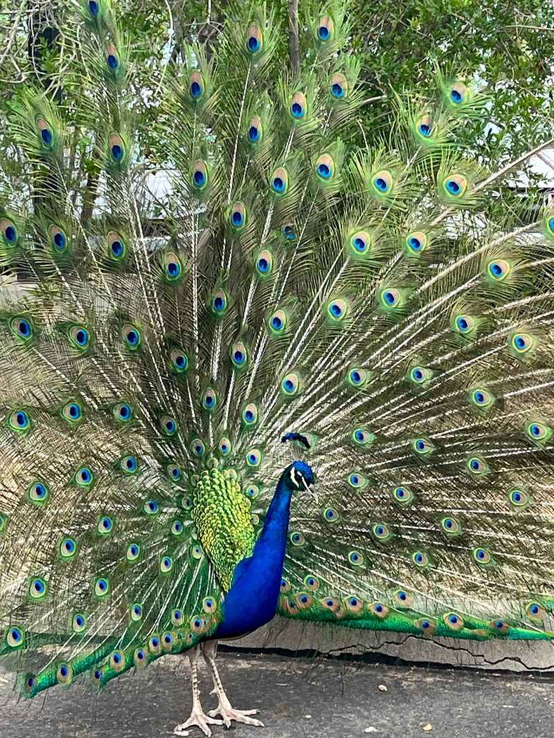 A Photographer's Playground Of Color And Texture