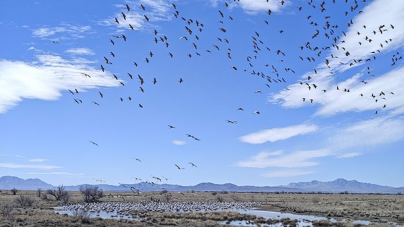 A Photographer's Wide-Open Paradise